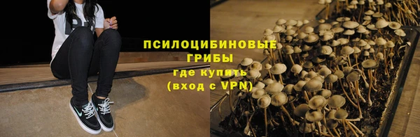 соль ск Алексеевка