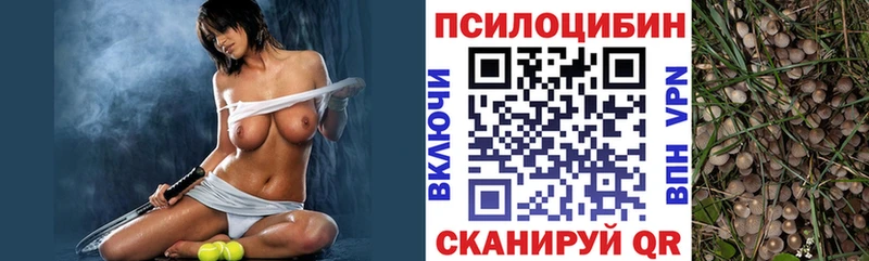 Галлюциногенные грибы прущие грибы  Терек 